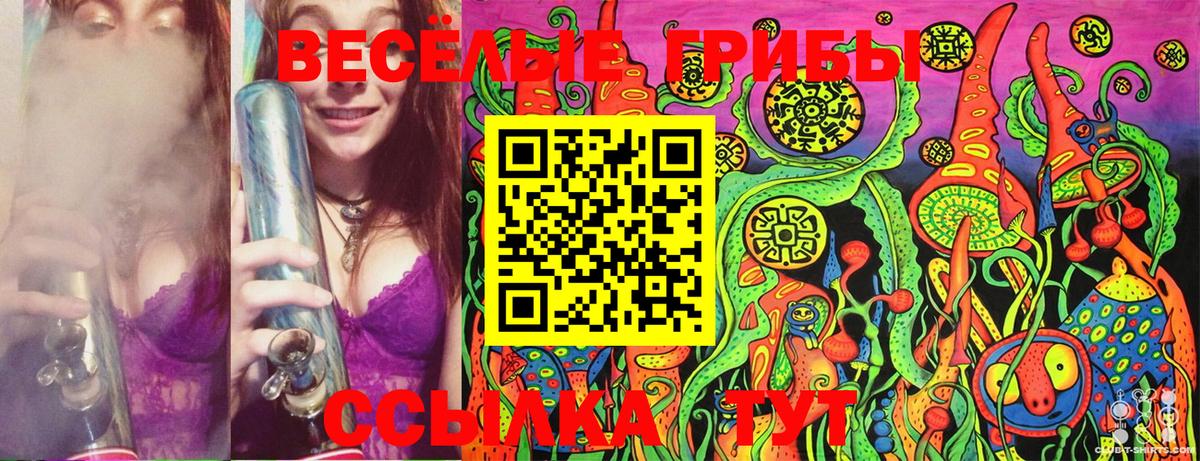 Гусь-Хрустальный  Галлюциногенные грибы MAGIC MUSHROOMS  Вход с VPN 