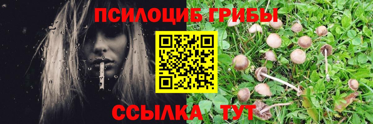 Галлюциногенные грибы Psilocybine cubensis Гусь-Хрустальный